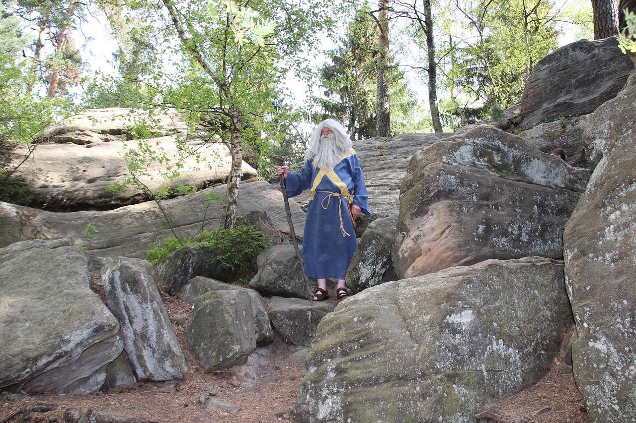 Forest Eith Rocks Forest Rock Stones - Free photo on Pixabay