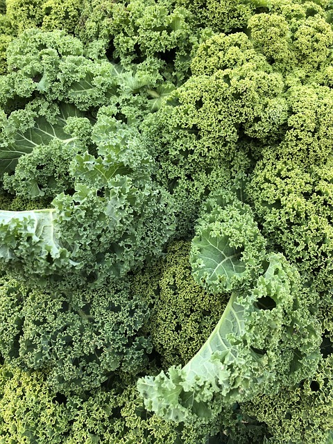 Free Kale Winter photo and picture