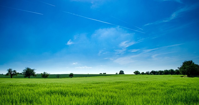 Free Sky Clouds photo and picture