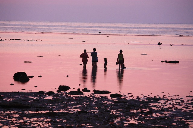 Free Sunset Sea photo and picture