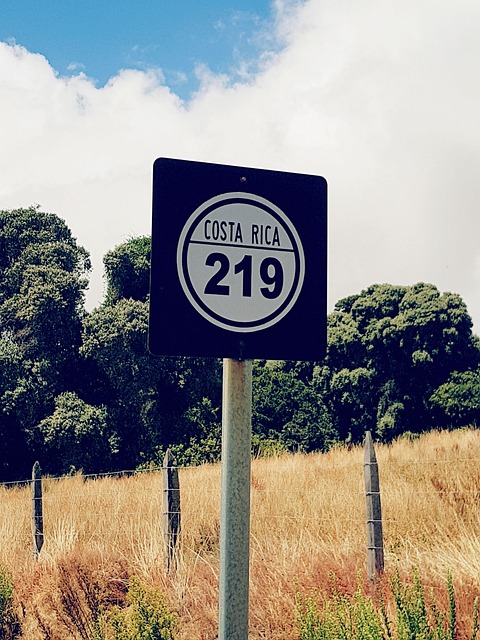 Costa Rica, Straße, Route, Vegetation
