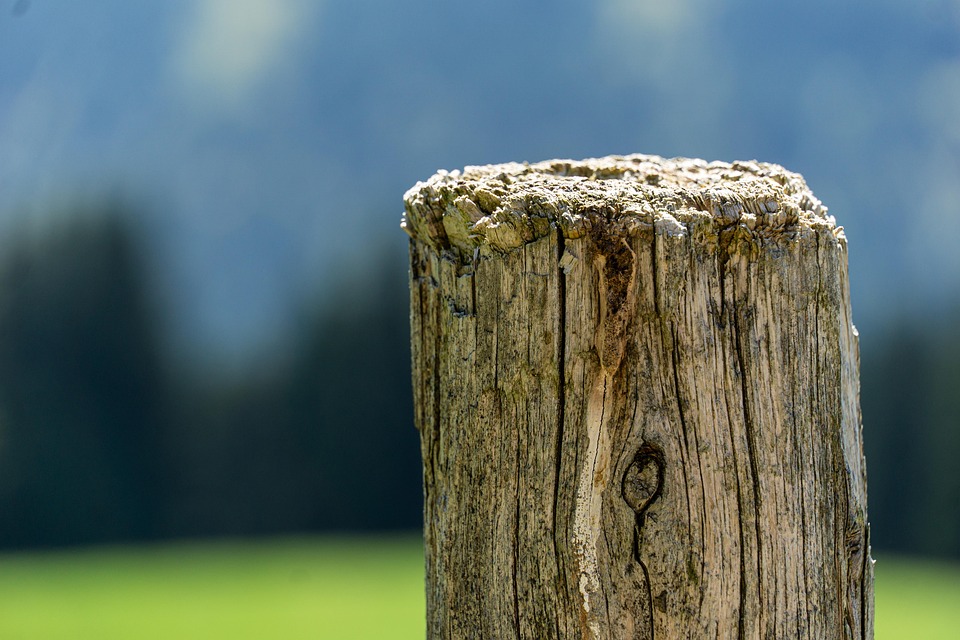 Wood Stake Close Up - Free photo on Pixabay - Pixabay