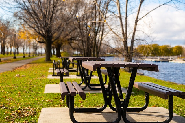 Free Autumn Park photo and picture