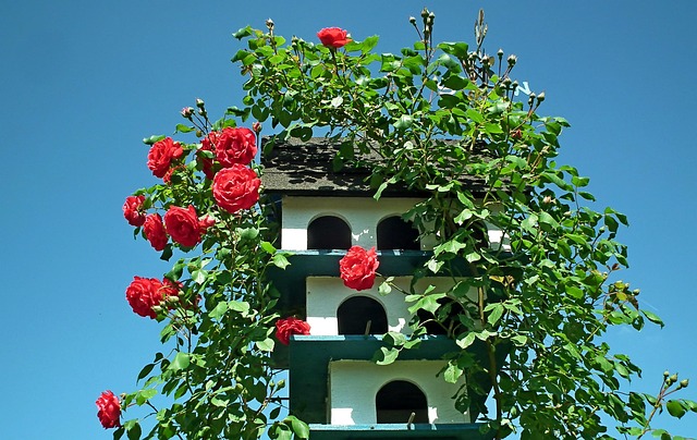 Free Birdhouse Flowers photo and picture