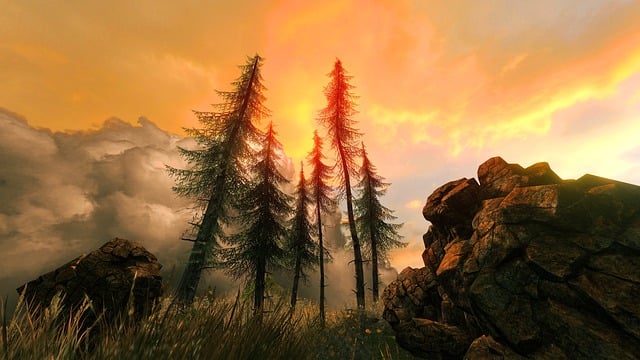 Free sunset trees nature illustration