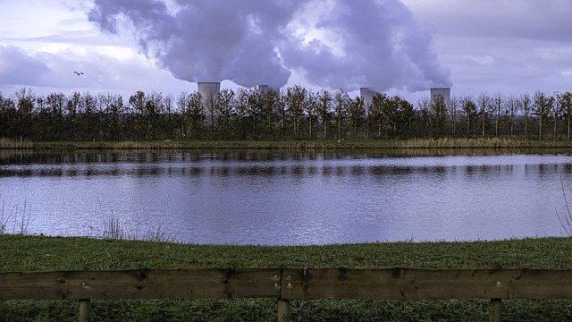 Bas-Skinke, Det Centrale Nukleare