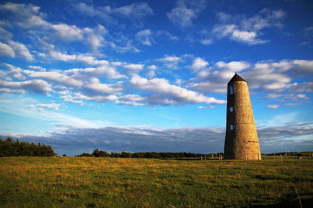 Free Tower Summer photo and picture