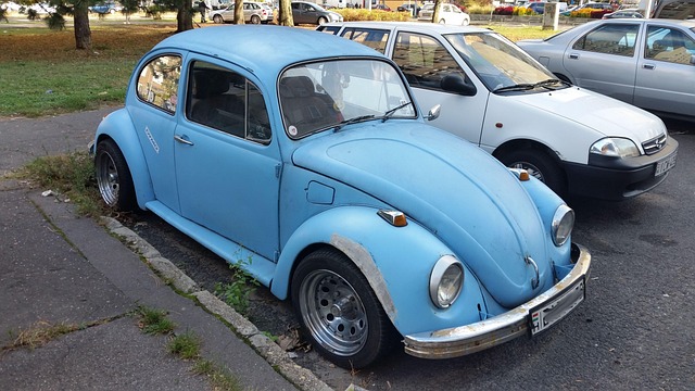 Volkswagen, Gândac, Vw, Clasic