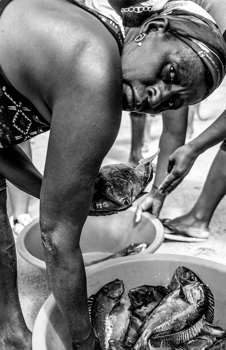 Afrikaner Minititten Fetter Fisten