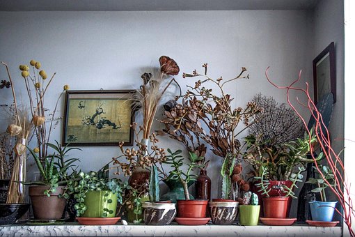 Naturaleza Muerta, Adentro, Flores