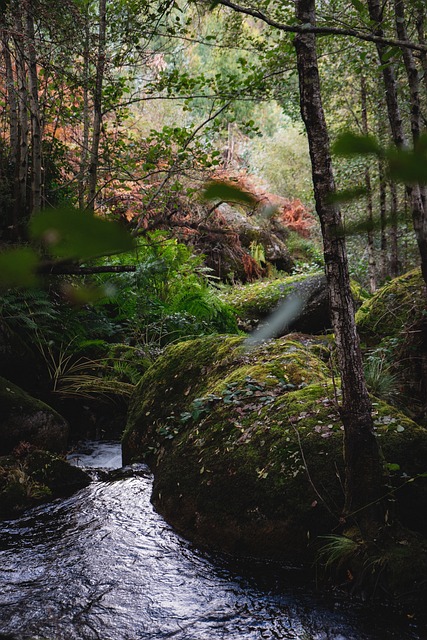 Free Creek Falls photo and picture