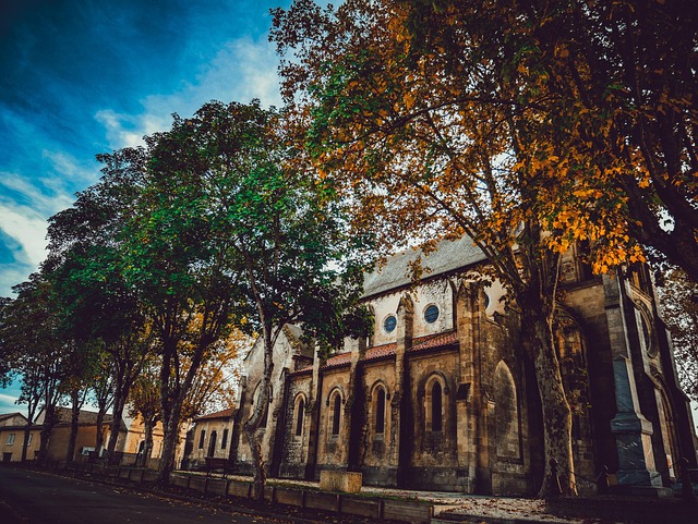 Free Church Trees photo and picture