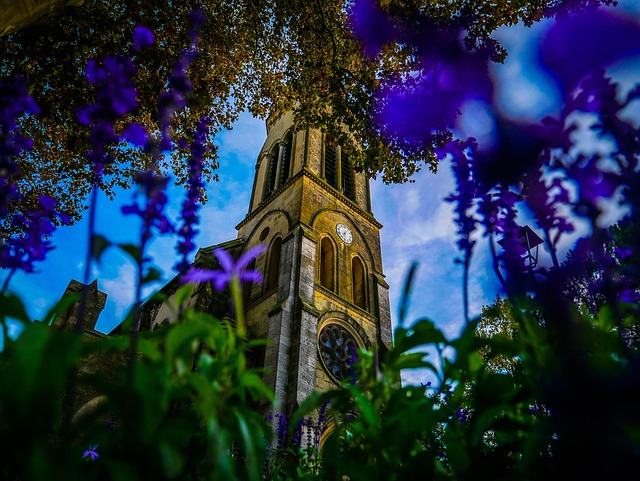 Free Church Flowers photo and picture