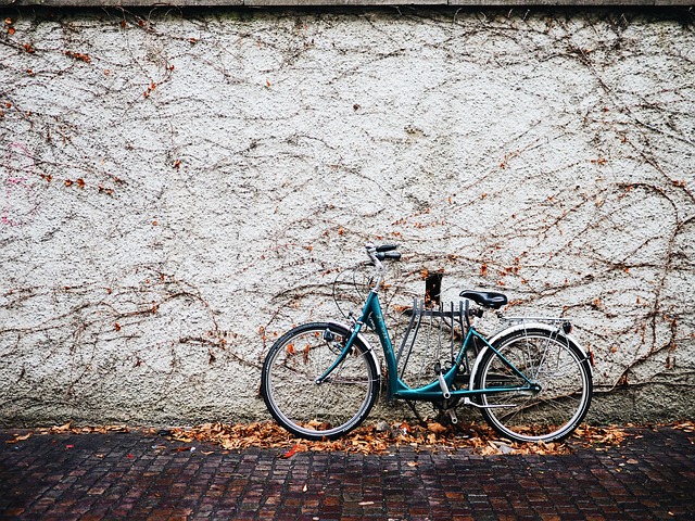 Free Bike Bicycle photo and picture