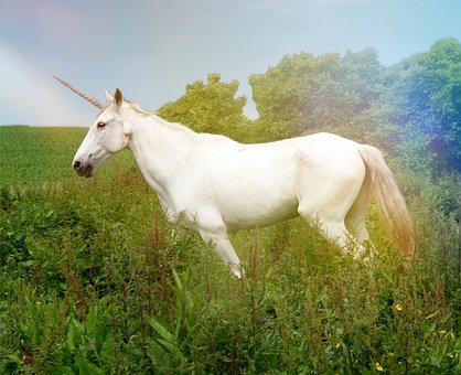 Enhjørning, Regnbue, Magi, Hest, Fantasi