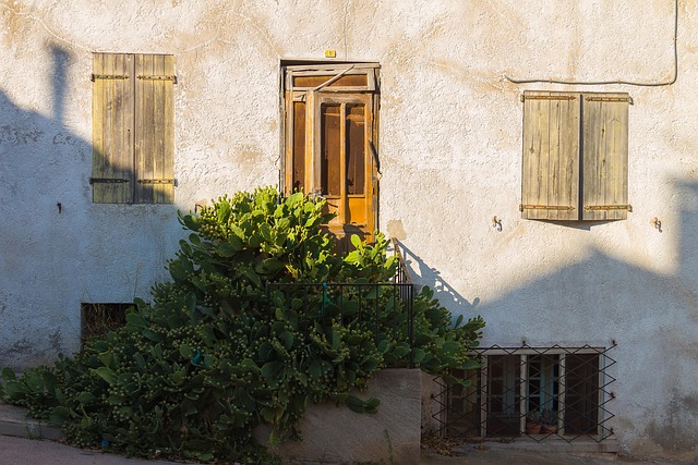 Free France Door photo and picture