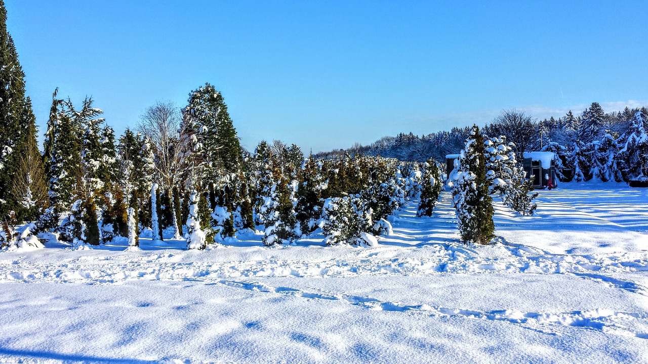雪 青空 冬 - Pixabayの無料写真
