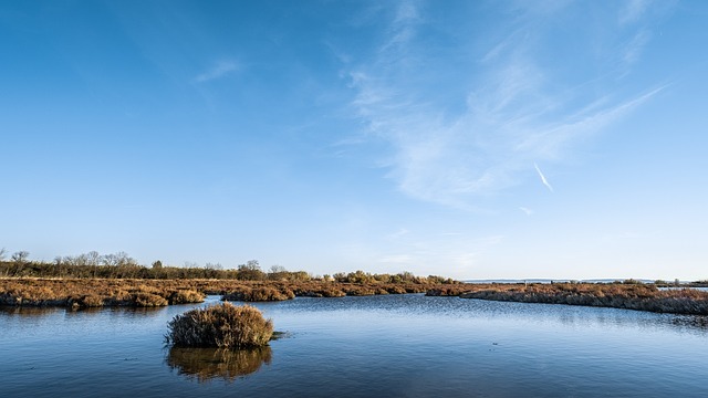 Free Sky Blue photo and picture