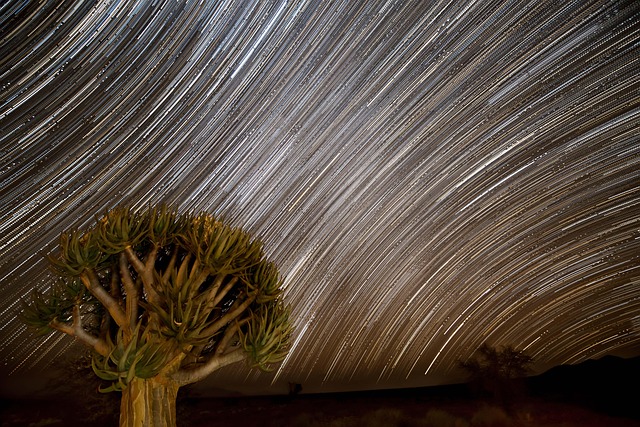 Free Namibia Startrail photo and picture