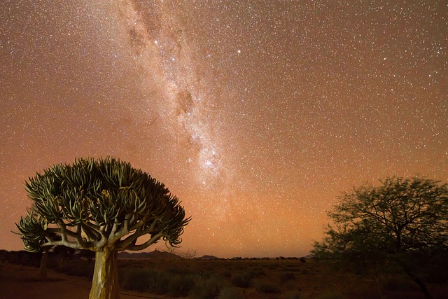 Free Namibia Stars photo and picture