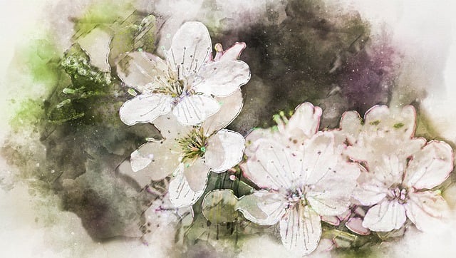 Free almond blossom almond tree spring illustration