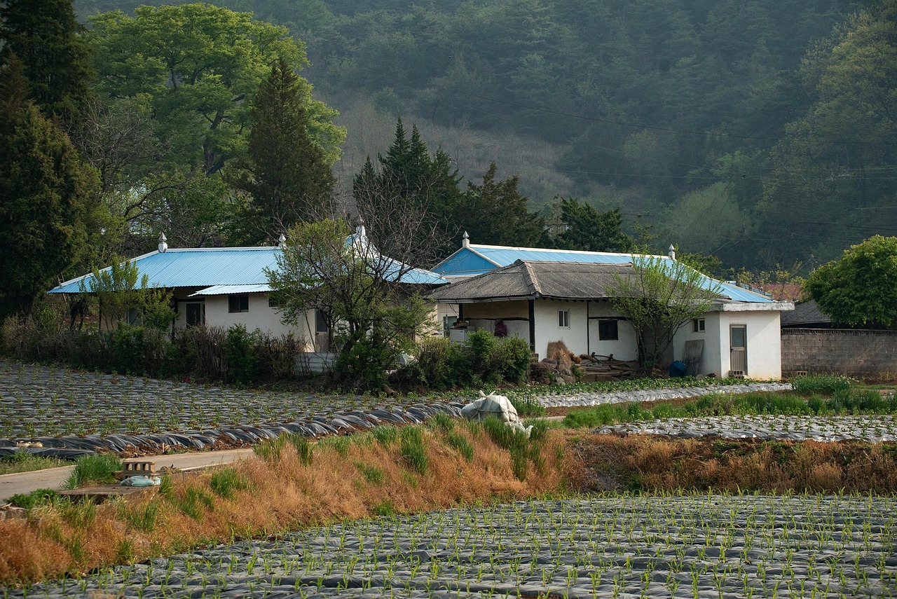 Korea Country House - Free photo on Pixabay - Pixabay
