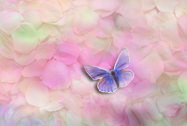 Free fantasy illusion lie illustration
