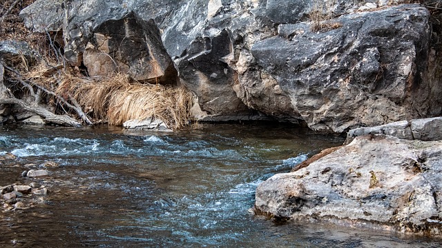 Free River Rocks photo and picture
