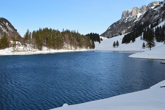 Free Nature Winter photo and picture