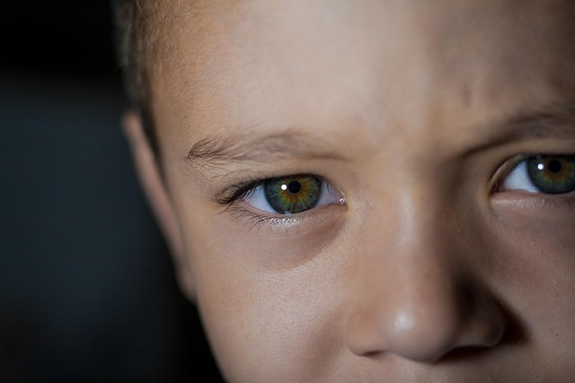 Olho, Criança, Bebê, Filho, Olhos