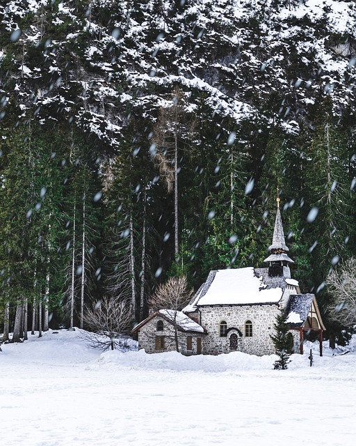 Free House Tree photo and picture