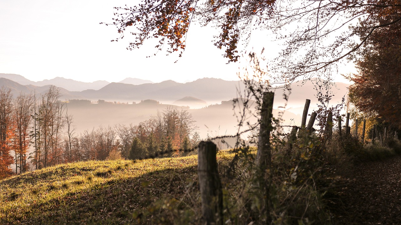 Nature - free online jigsaw puzzle photo