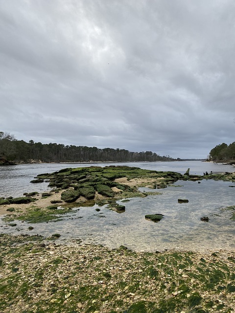 Río, Playa, Agua, Naturaleza, El Verano