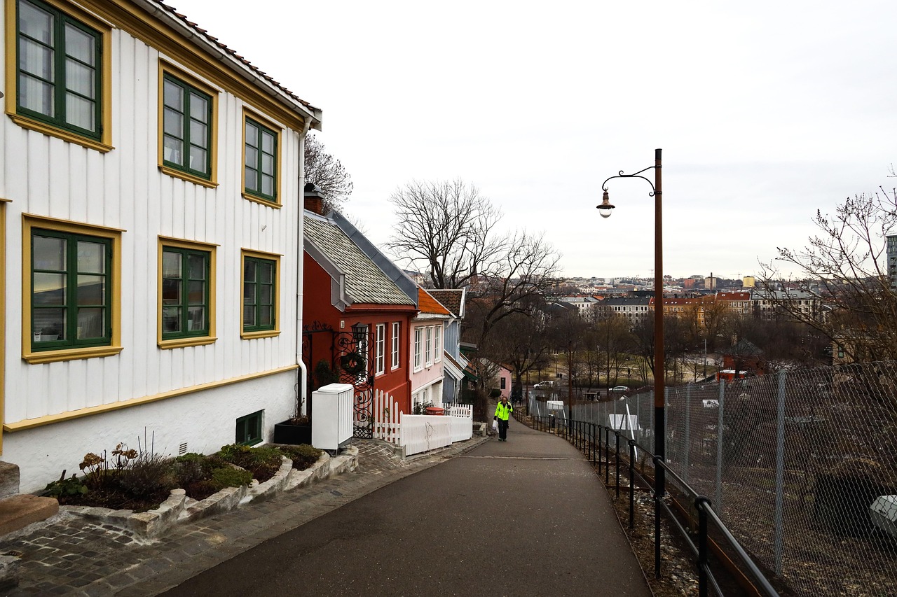 Street - free online jigsaw puzzle photo
