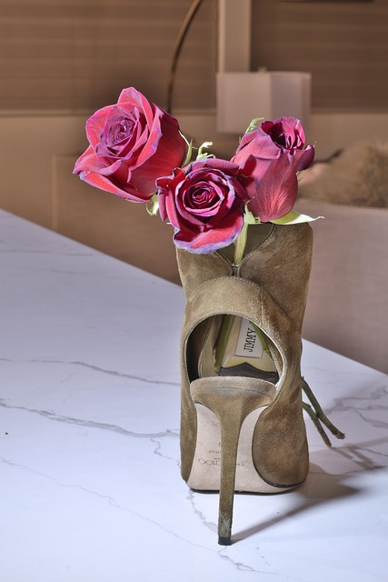 Free Shoes Heels photo and picture