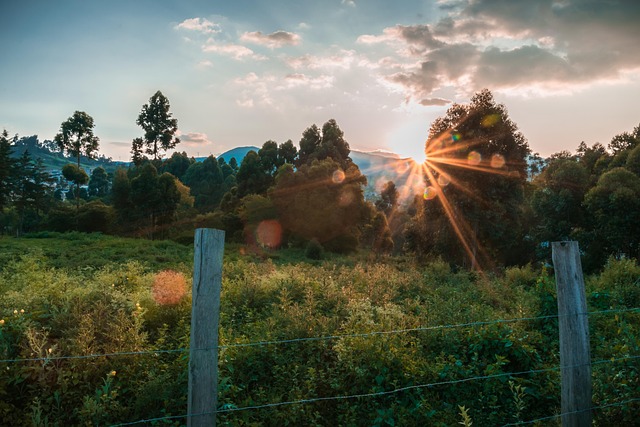 Free Road Mountains photo and picture