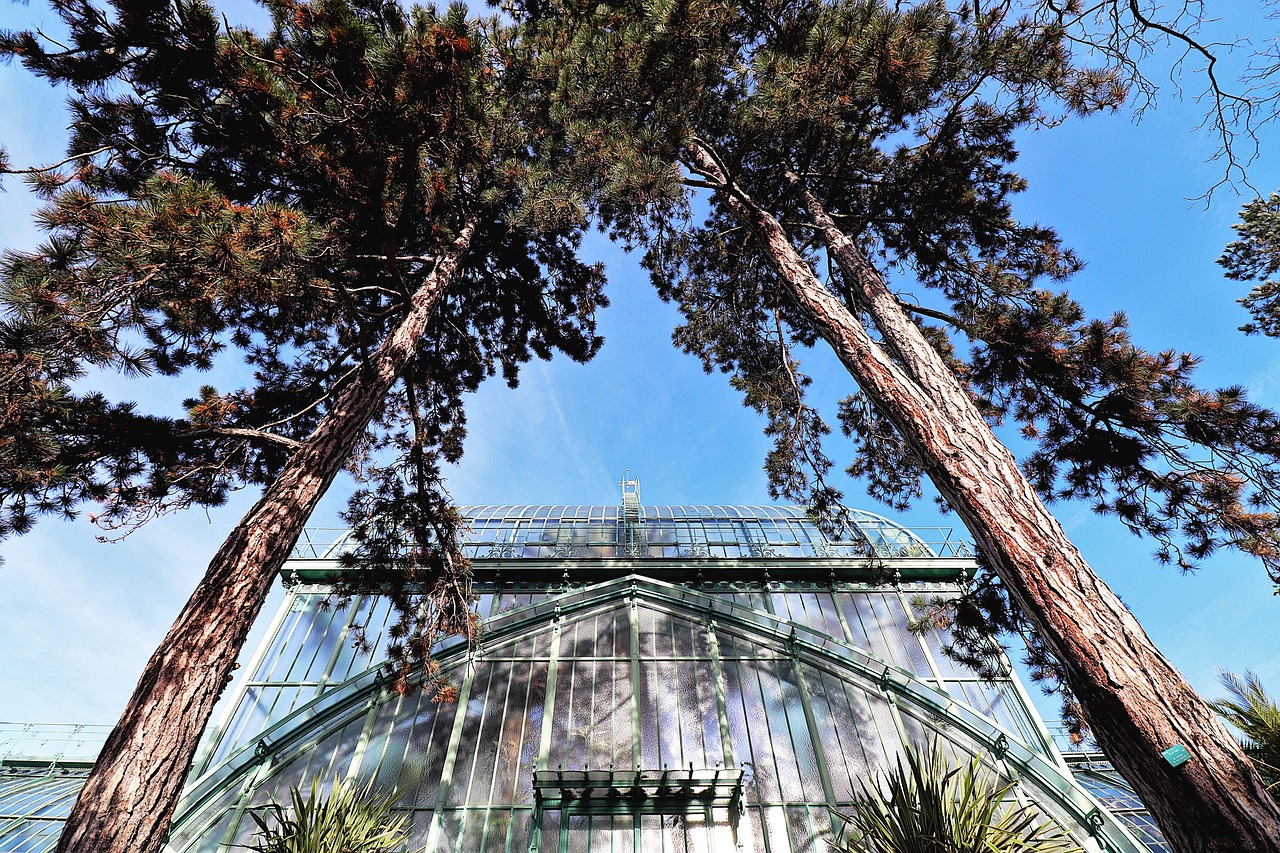 Greenhouses - free online jigsaw puzzle photo