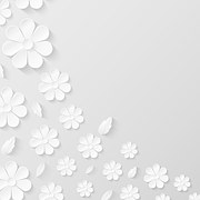 Paper Flower Background, White