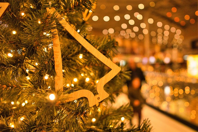 Free Christmas Decorations Ornament photo and picture