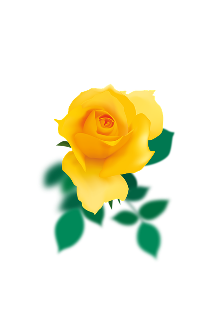 Download free HD stock image of Yellow-Rose Rose Free yellow-rose rose yellow illustration