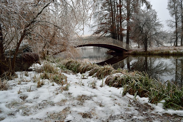 Free The Landscape In The Winter The Bridge photo and picture
