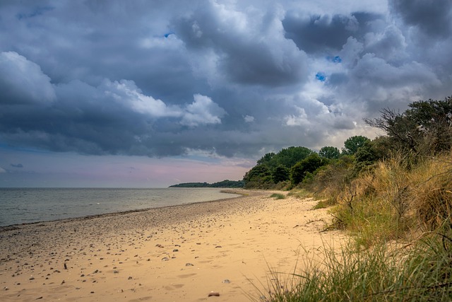 Free Beach Water photo and picture