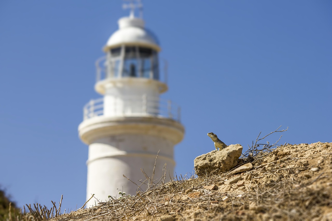 Lighthouse - free online jigsaw puzzle photo