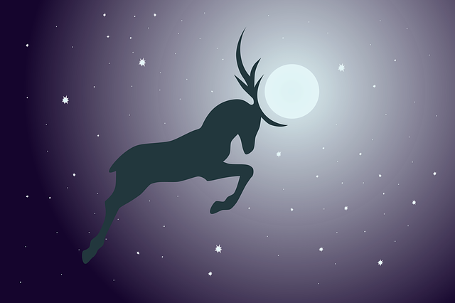 Céu, Noite, Estrelas, Céu Noturno, Lua