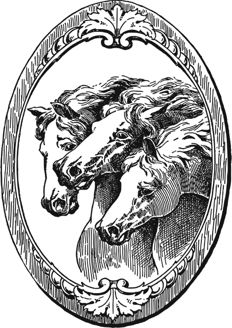 Cavalos, Equino, Animal, Natureza