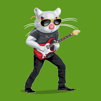 Rotter, Musikere, Rock, Koncert, Musik