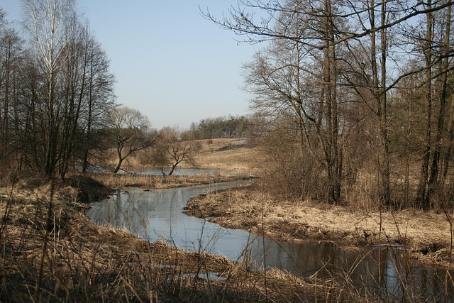 Free River Autumn photo and picture