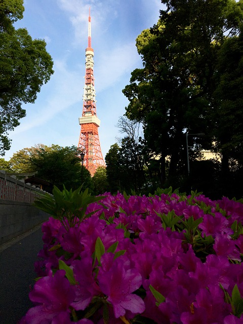 Free Tokyo Japan photo and picture