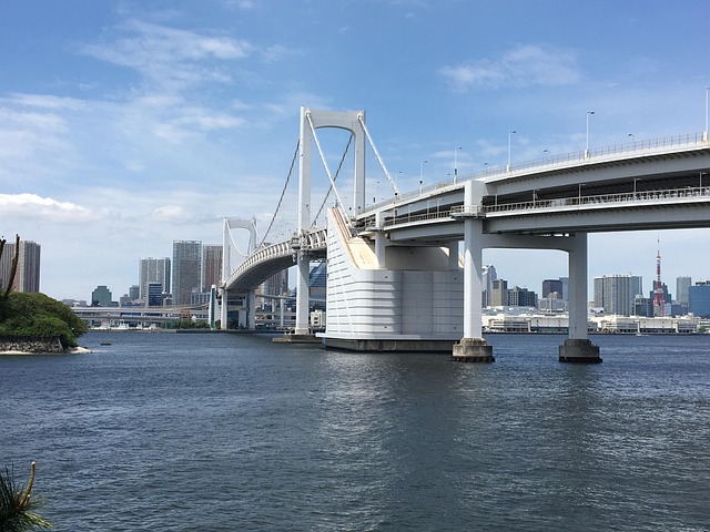 Free Tokyo Bridge Tokyo Bay photo and picture