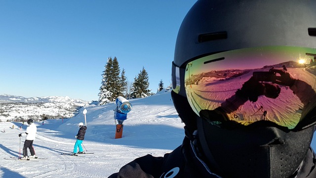 Free Skiing Snow photo and picture